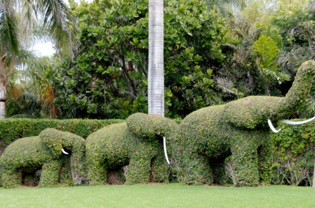 3_elephants_topiary